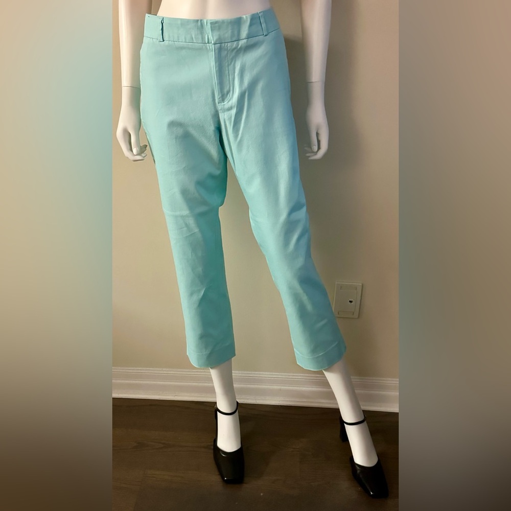 Banana Republic Size 10 Hampton Fit Turquoise Blue Pants